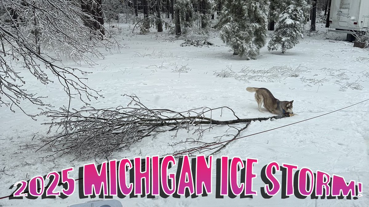 WiltonWanderLst's tweet image. Our new video is up! How did we survive the 2025 Michigan Ice Storm? 🥶 Go here to watch: youtu.be/0a2vnDaded8

#wiltonwanderlust #icestorm #icestorms #michiganicestorm #2025michiganicestorm #trees #stormdamage #naturaldisasters #dogs #cats #huskies #hatchithehusky #pets