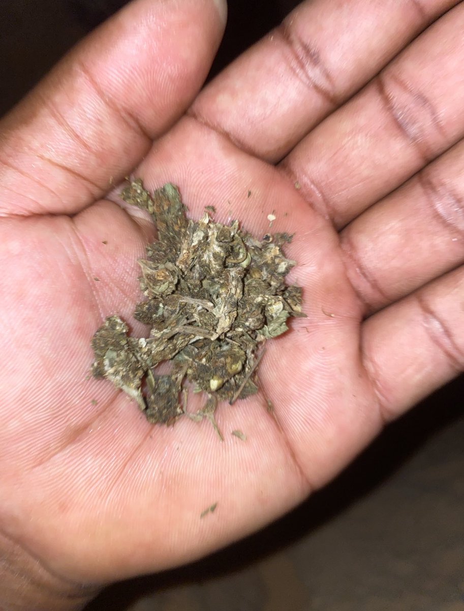 جهيريس🦇 tweet media