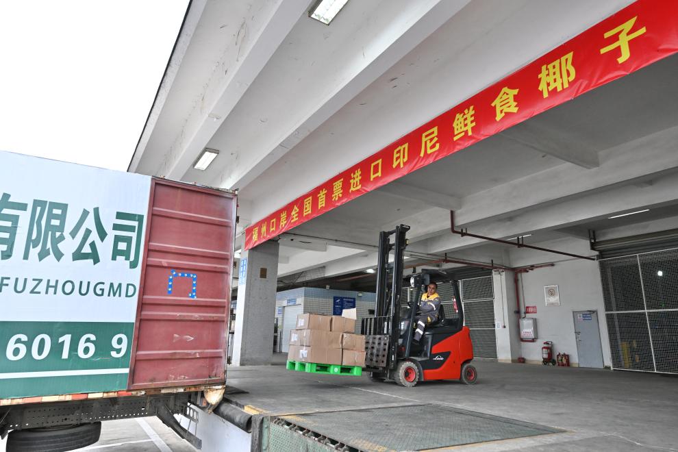 BeijingEvening's tweet image. The first 200-kilogram batch of fresh #coconuts imported from #Indonesia arrived in Fuzhou, the capital city of east #China's Fujian Province, on Apr. 12.