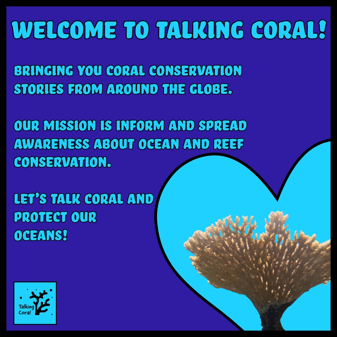 Talkingcoral's tweet photo. “🌊 Welcome to Talking Coral! 🪸 We’re here to share coral conservation stories from around the globe and inspire action to protect our oceans. #TalkingCoral #CoralReefs #OceanConservation #ReefLove #SaveTheReefs #MarineLife #EcoWarrior #ProtectOurOceans #CoralConservation https://t.co/QYP6KwLTtF