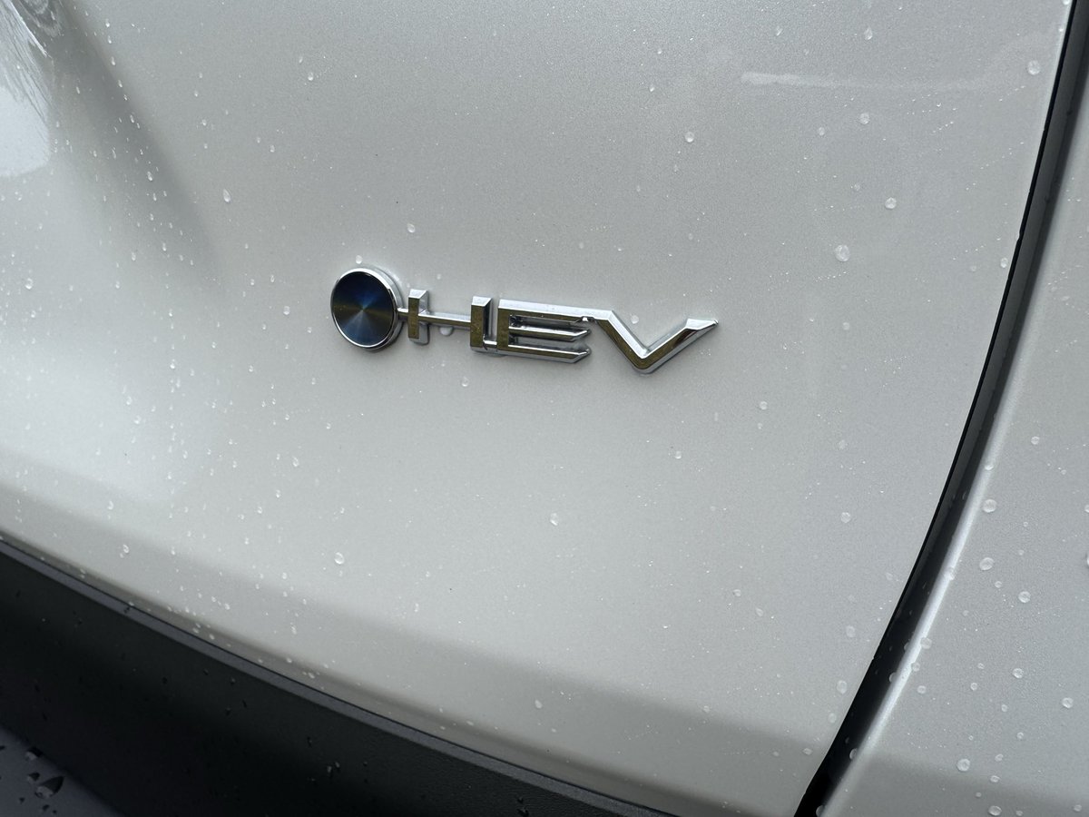 arufaado's tweet photo. 最終改良型RAV4本日納車しました🙇‍♂️あいにくの強風と雨でしたが新しい相棒との日々を楽しみたいと思います。 https://t.co/VoT6y5Zu9u