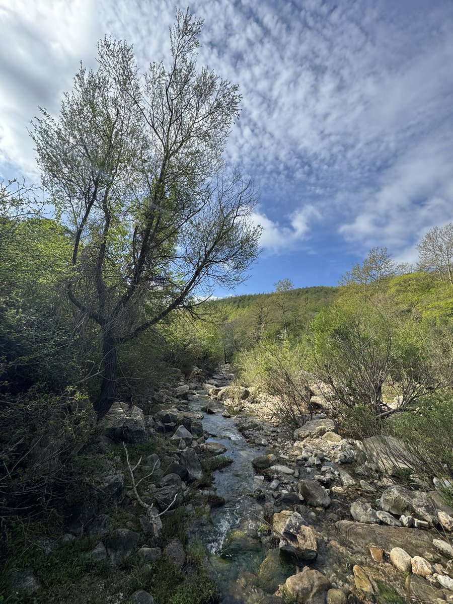 Mario Costanzo tweet media