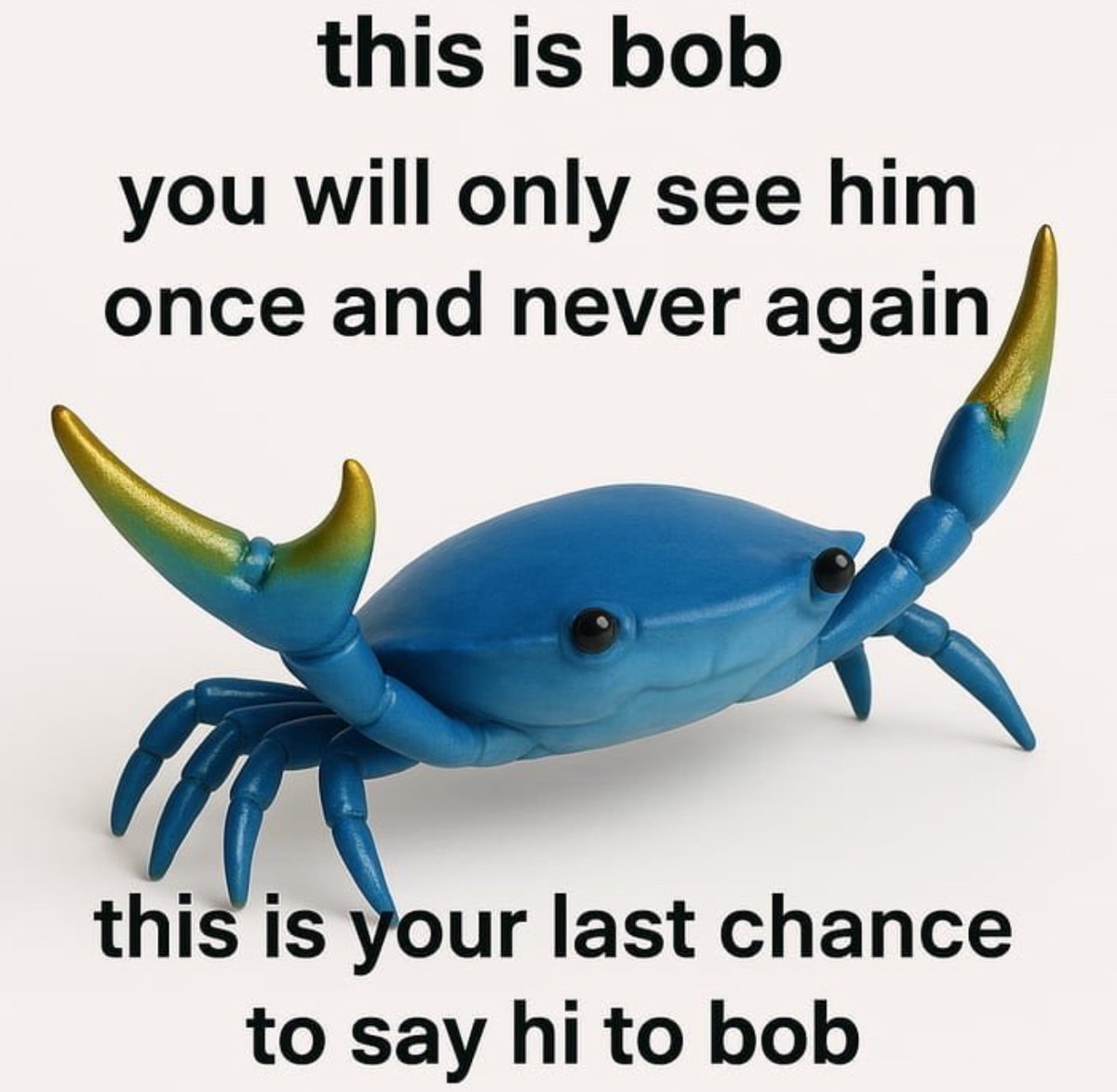 Hi bob