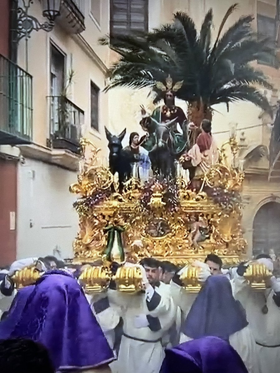 PasionAnd's tweet photo. Feliz #DomingodeRamos a todos desde #Malaga donde ya La Pollinica se encuentra por la calles de la ciudad https://t.co/K7tmVMzGjI