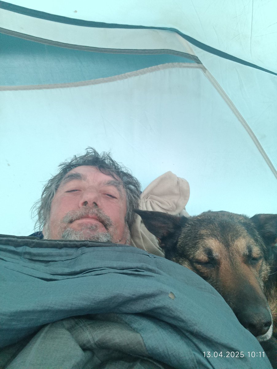 holger anklam tweet media