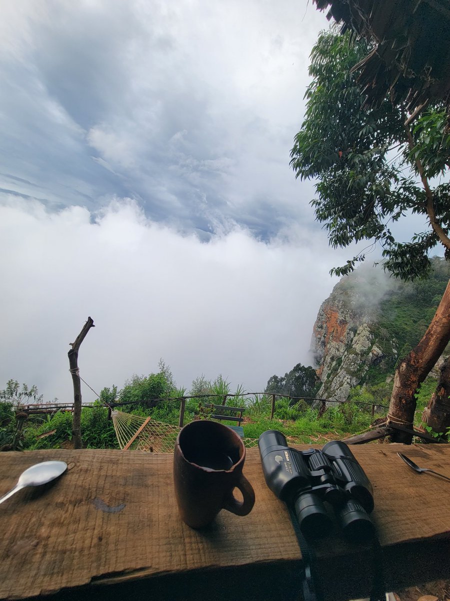 hk_jr08's tweet photo. Coffee with a view☕️ https://t.co/torYYAJ0Pa