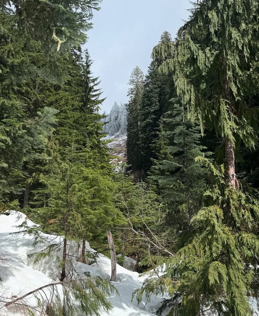 WelshElizabethb's tweet photo. Today’s hike was amazing,so much snow but gosh it was absolutely breathtaking.we love to hike and I have never anything as spectacular https://t.co/alsmUgShnG