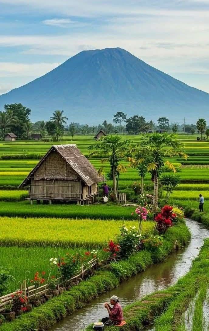 Good Afternoon X mates😊