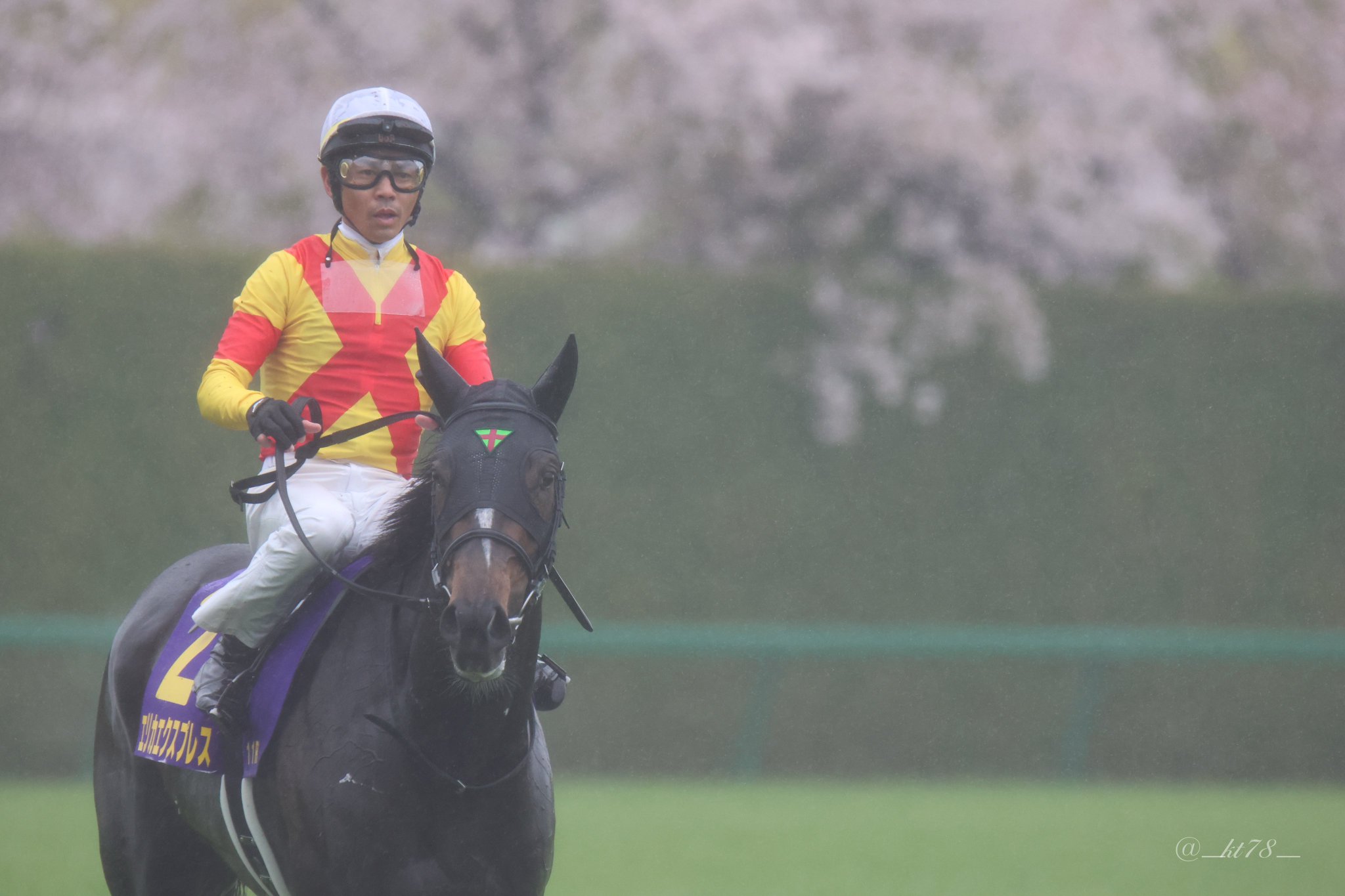 競馬場 1台の馬車とアマチュア騎手たち Carriage on the