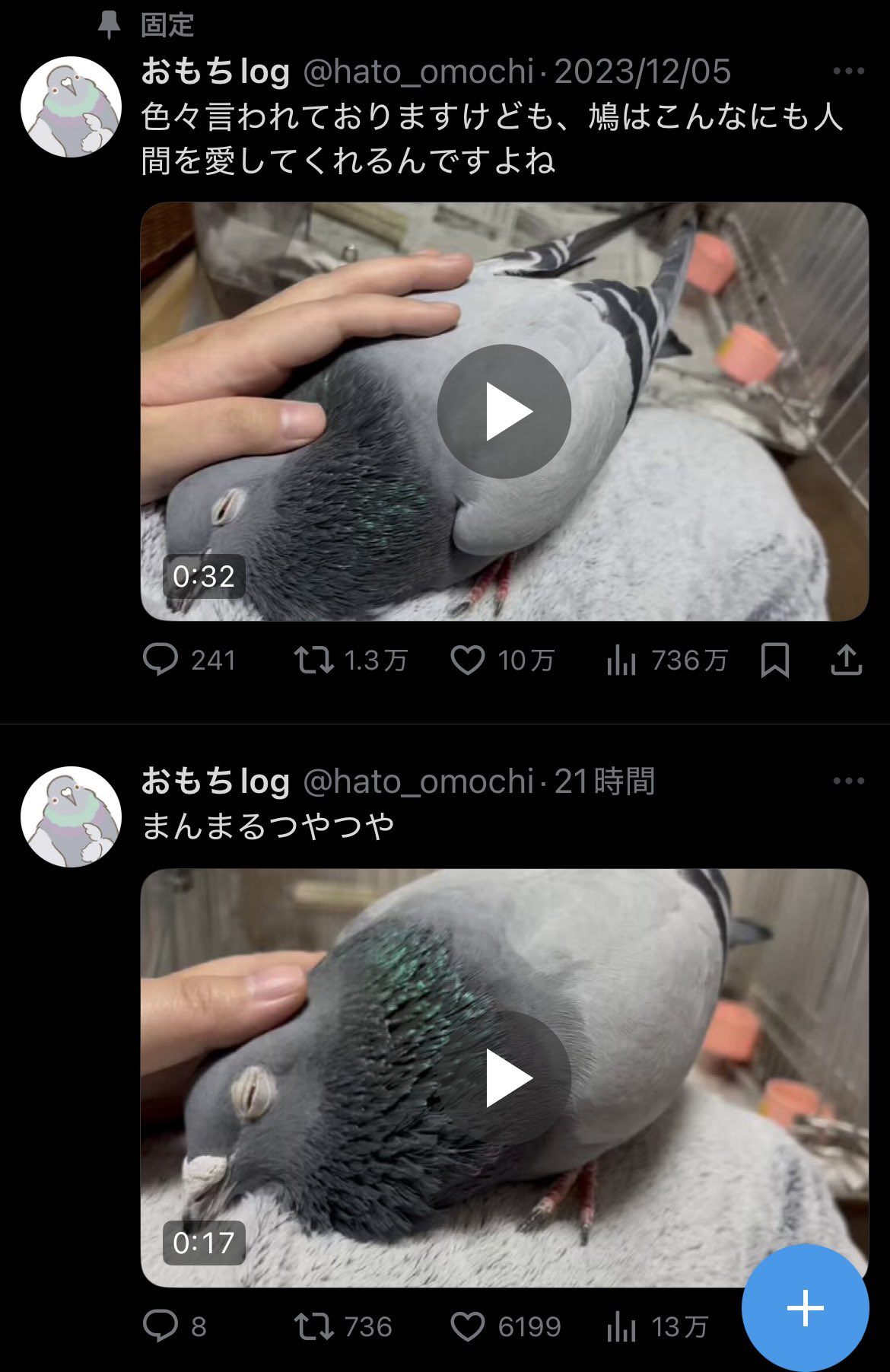 おもちlog (@hato_omochi) / X おもちlog (@hato_omochi) / X