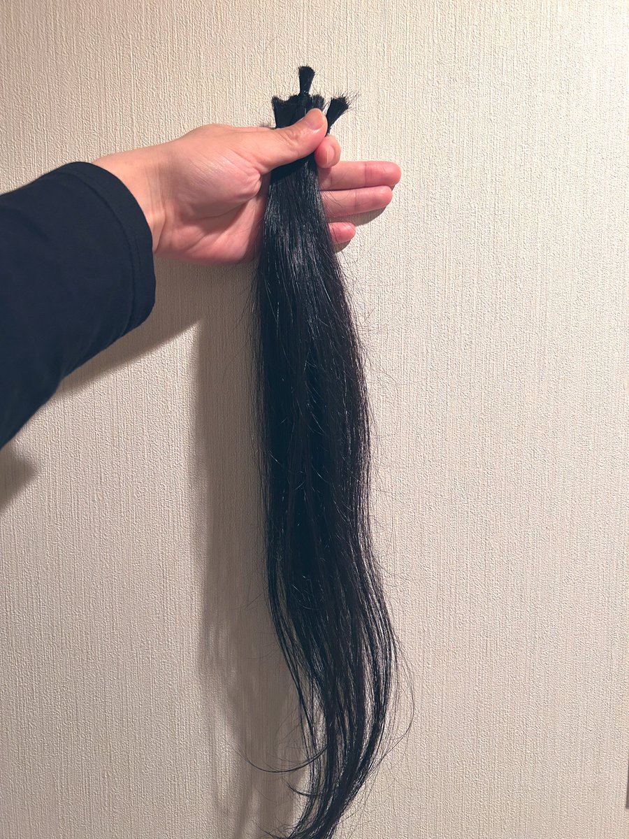 ko_me_'s tweet photo. 初ヘアードネーション。35cmくらい。 https://t.co/rMmLHtQ4v8