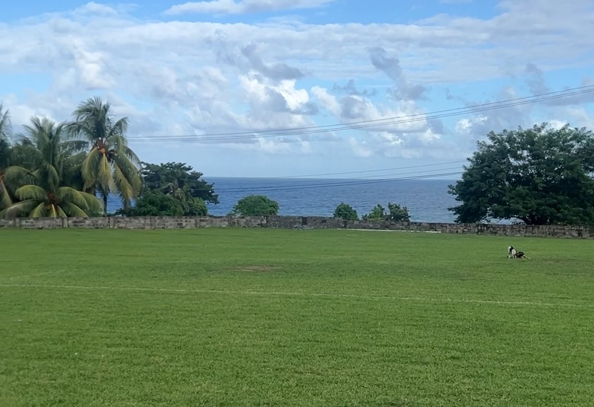 We’re looking for grounds to hire this Wednesday 16th (u18) &amp; Thursday 17th April (u13), north west or west Yorkshire area. We’d be more than happy playing in trainers on artificial wicket to reduce any wear and tear! 

(Image for the algorithm, sea view not essential!) 🏏🏏🏏