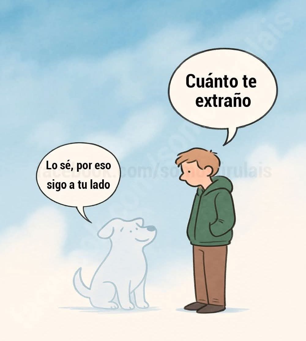 Me haces tanta falta , perrito lindo.. #BuenosDiasATodos