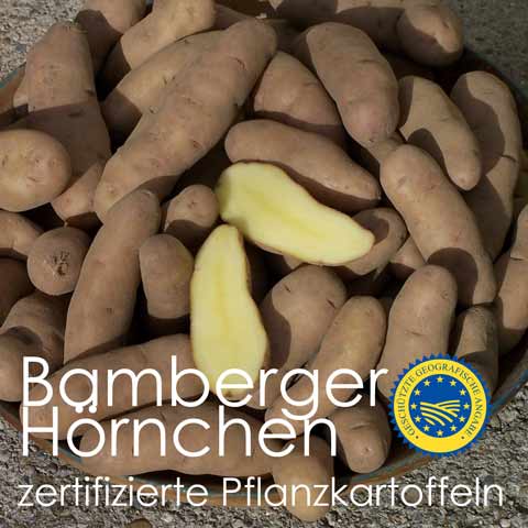 Tartufflis's tweet photo. erstmals ANDENGOLD - Pflanzkartoffeln lieferbar - https://t.co/pg5TuQVnMq https://t.co/sU4P2X8HLV