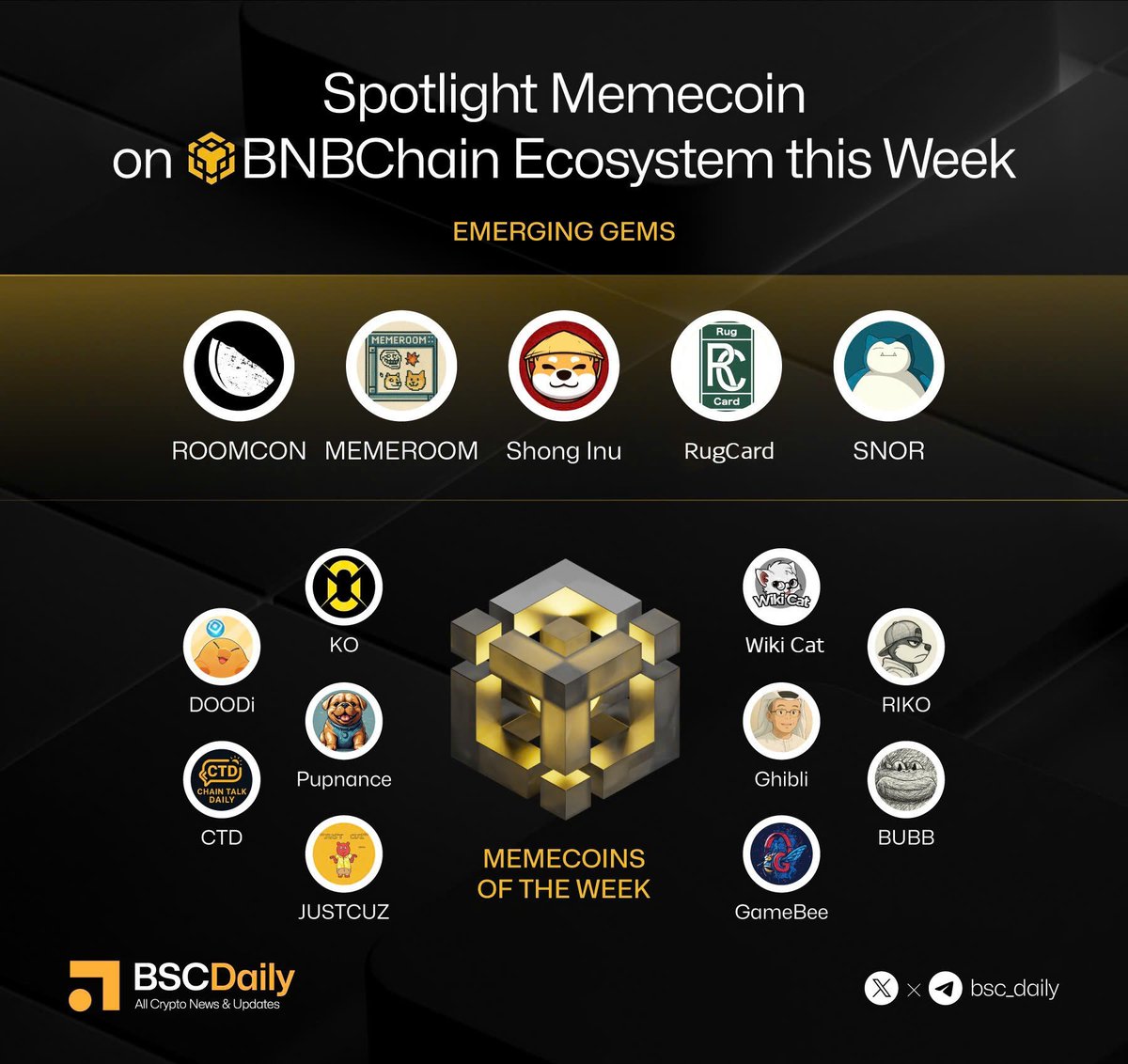 BSCDaily tweet media