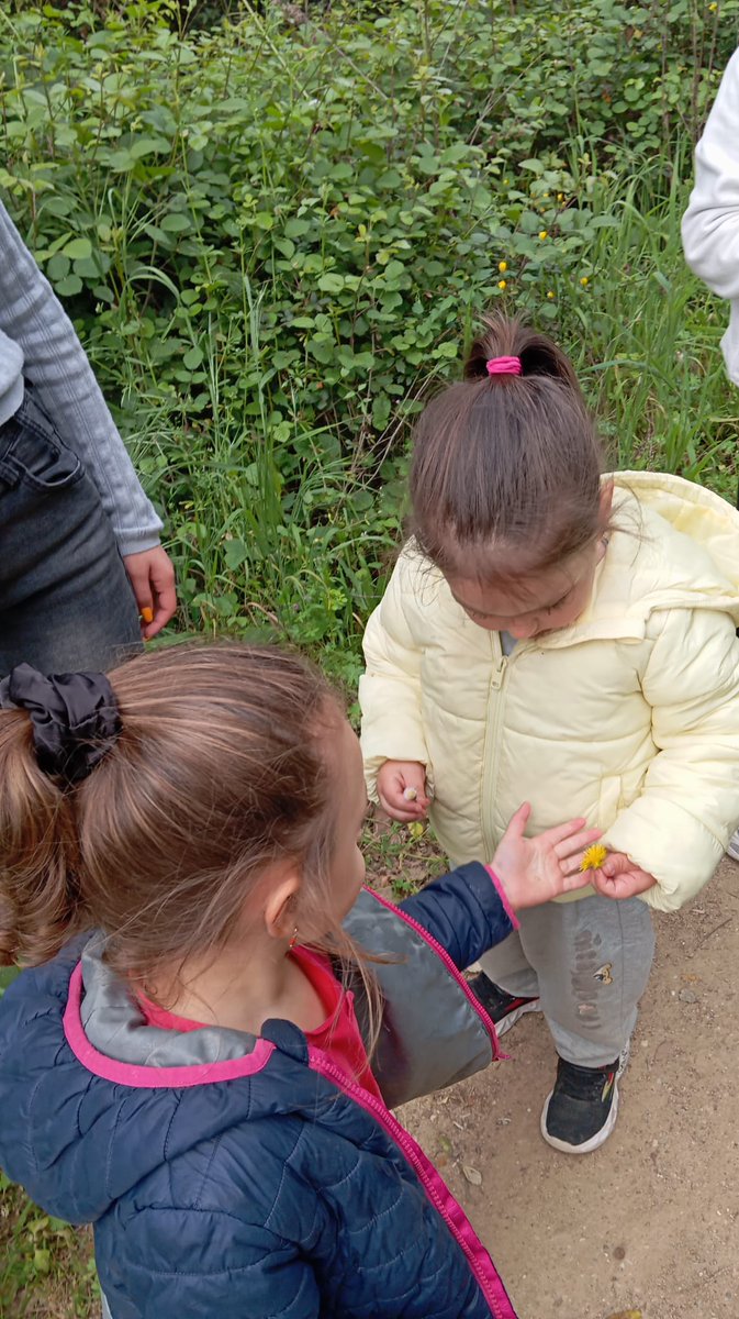 EsplaiDiana's tweet photo. la màgia de la natura 🌳 
aquestes criatures tenen 2 anys i mig 🎯🎯 #grupoguarde #conlatropaatoslaos 💪🏻 https://t.co/8GM15CGh32