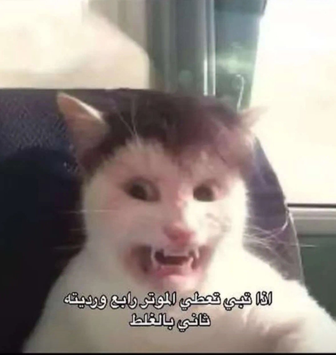 🇴🇲Hsn | SQU (@irealfn_) on Twitter photo 