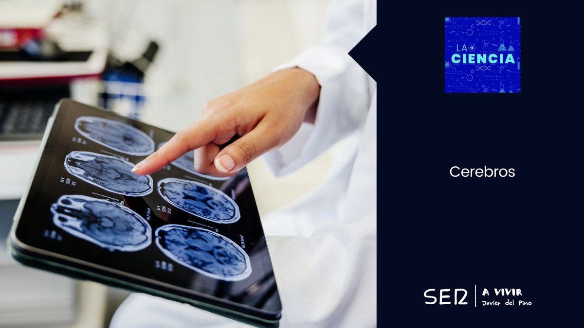 Los bancos de cerebros resultan fundamentales para el estudio de diferentes patologías. Nos lo cuentan los neuropatólogos Alberto Rábano y María José López <a href="/banco_tx_CIEN/">BT-CIEN</a>, quienes han investigado gracias a la donación de este órgano.