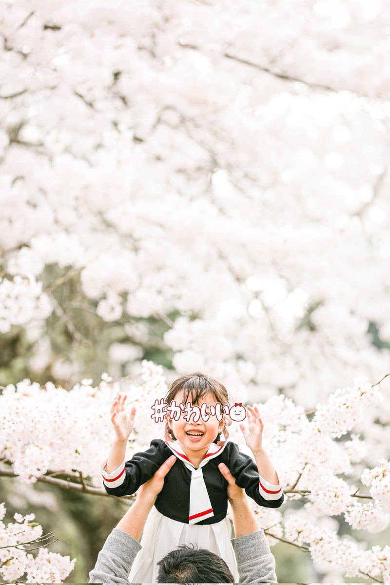 わたべ tweet media