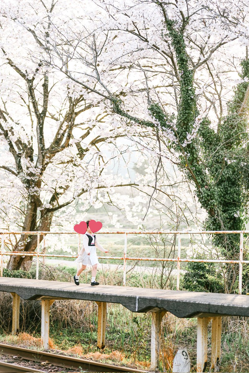 わたべ tweet media