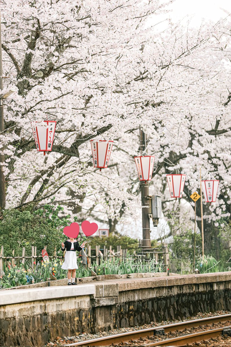 わたべ tweet media