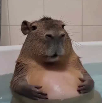 Rich_Twenty_Two's tweet photo. I think #MUTUMBO could do well today.
in at 4 mil, lets see if it gets to 8 mil.
Gotta love a Capybara.

4StuLHHsHobhBh4BCNhreFtQ5EvSZHvbAMxJ44JWpump https://t.co/eXZVc57st1