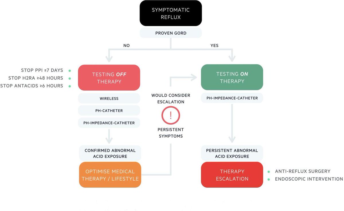 Frontline Gastro (@frontgastro_bmj) on Twitter photo ๐ฅ Oesophageal pH testing: everything you wanted to know but were too afraid to ask โ๏ธ Brush up on your oesophageal physiology skills here! ๐
fg.bmj.com/content/16/3/2โฆ
With thanks to Dr Benjamin Norton <a href="/medicalreg/">Benjamin Norton</a> and Dr Zarate-Lopez.
<a href="/PhilSmithIsBack/">Phil Smith</a> <a href="/OTavabie/">Oliver Tavabie</a> ๐ฅ Oesophageal pH testing: everything you wanted to know but were too afraid to ask โ๏ธ Brush up on your oesophageal physiology skills here! ๐
fg.bmj.com/content/16/3/2โฆ
With thanks to Dr Benjamin Norton <a href="/medicalreg/">Benjamin Norton</a> and Dr Zarate-Lopez.
<a href="/PhilSmithIsBack/">Phil Smith</a> <a href="/OTavabie/">Oliver Tavabie</a>
