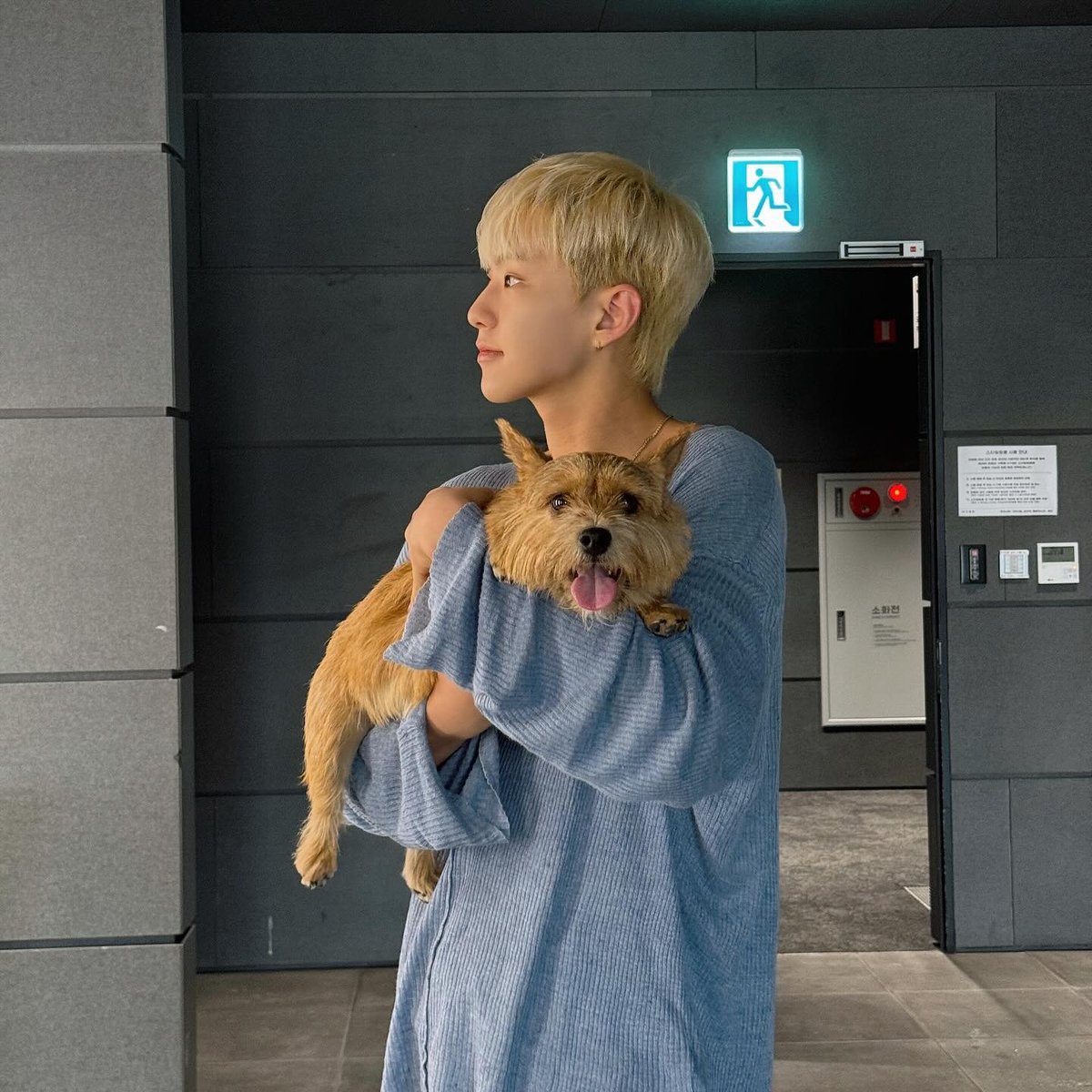 다시 꺼내보는 가나디와 가나디