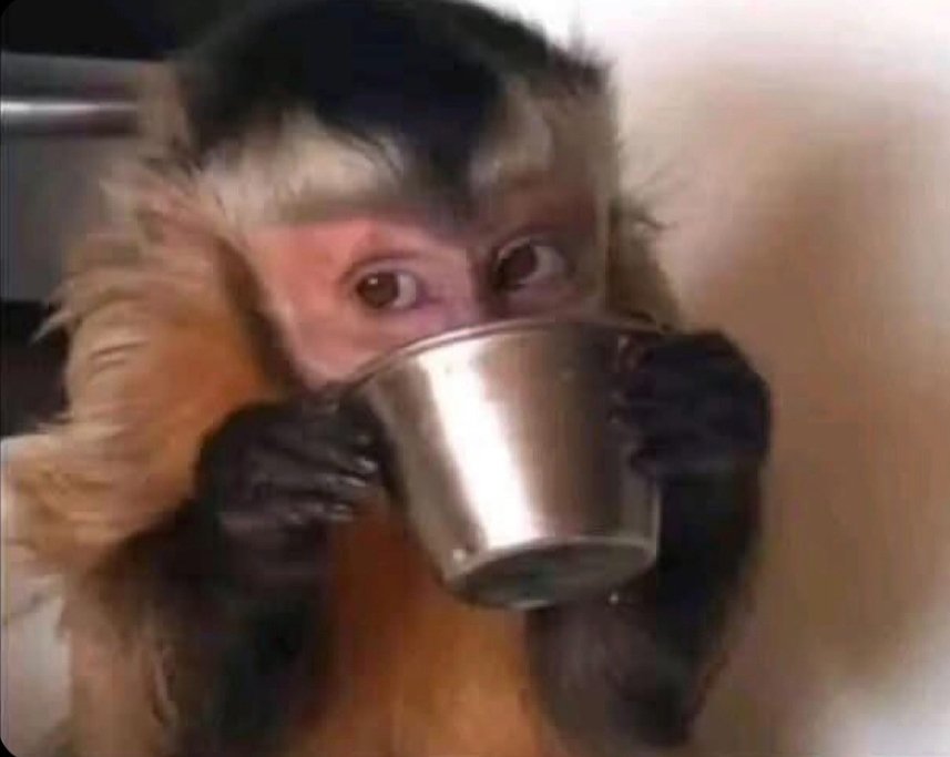 Best excuse when they catch you cheating red handed?