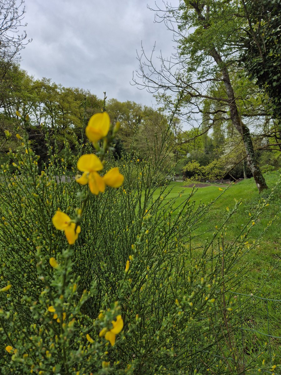 Crisvendee85's tweet photo. Petite marche, l'air frais du matin fait du bien. 😋

"Puissiez-vous avoir l'audace d'être qui vous êtes, et de ne jamais vivre enfermés dans l'opinion d'autrui." 
Christine Michaud
📷perso 
#penseepositive #photooftheday
#plaisirdepartager https://t.co/YRgRj43Ye7