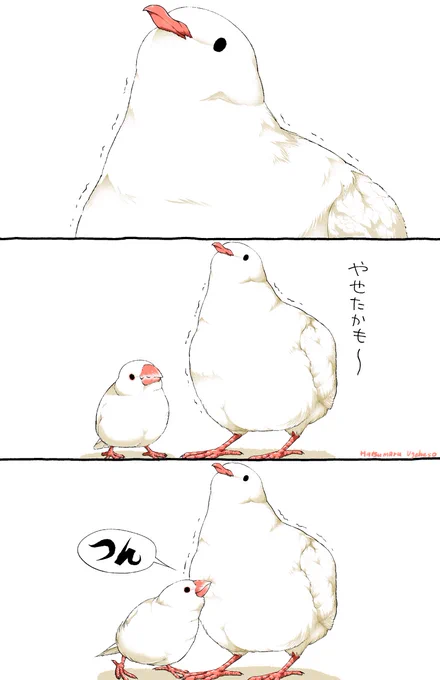 かりそめ【1/2】 