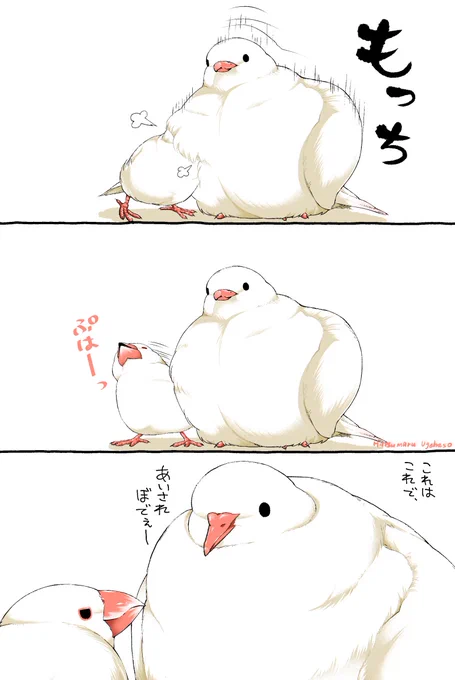 かりそめ【2/2】 