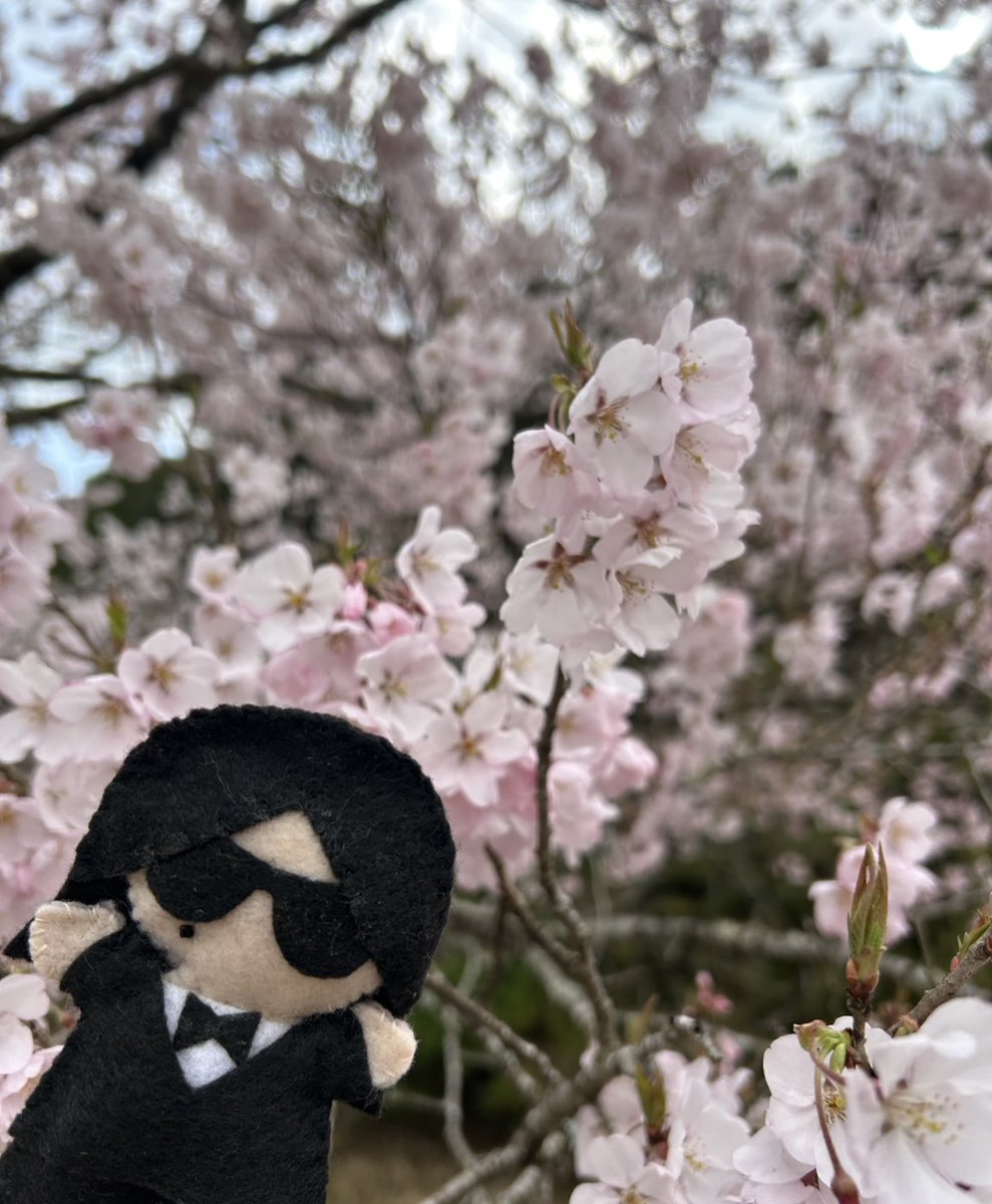 ふくちゃん (@fuku_chan_chan) / Posts / X