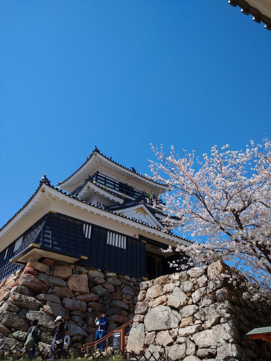 aoki_kotone's tweet photo. そういえば今年はお花見行きました。
一生の趣味として百名城スタンプを集めているのでそれもかねて‥。 https://t.co/p1n5C465rY