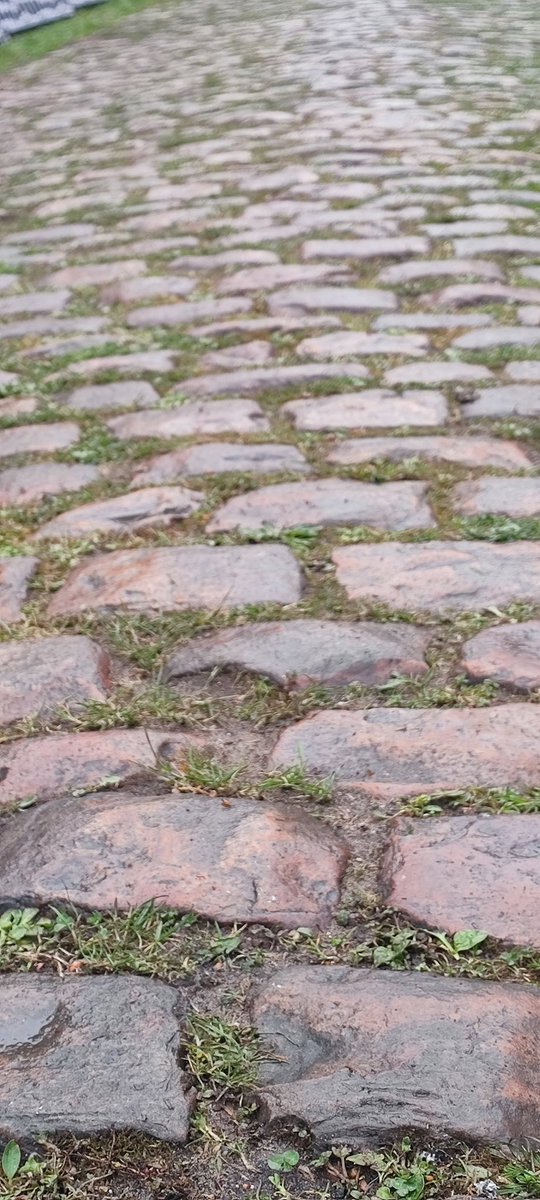 Ciclored's tweet photo. Así está el Bosque de Arenberg a las 11:00. Humedo y con un poco de barro. Cielo cubierto.
Si no sale el sol.... Seguirá así cuando pase el pelotón de la #ParisRoubaix 
Ojo que está peligroso https://t.co/597x8Cc6NT