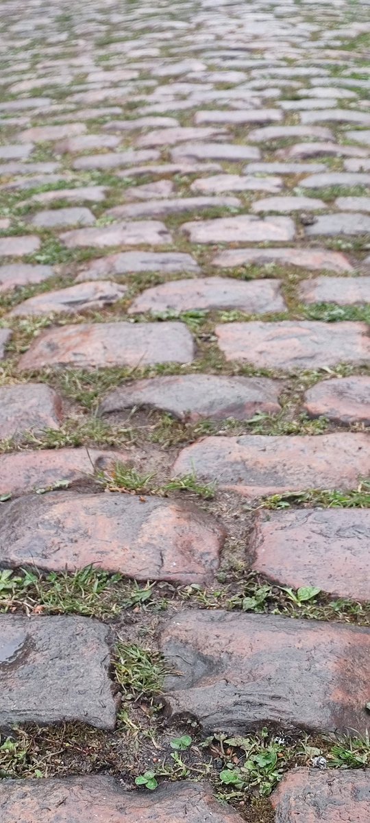 Así está el Bosque de Arenberg a las 11:00. Humedo y con un poco de barro. Cielo cubierto.
Si no sale el sol.... Seguirá así cuando pase el pelotón de la #ParisRoubaix 
Ojo que está peligroso