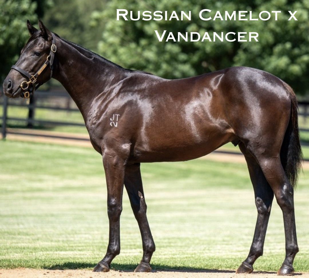 James Prebble tweet media