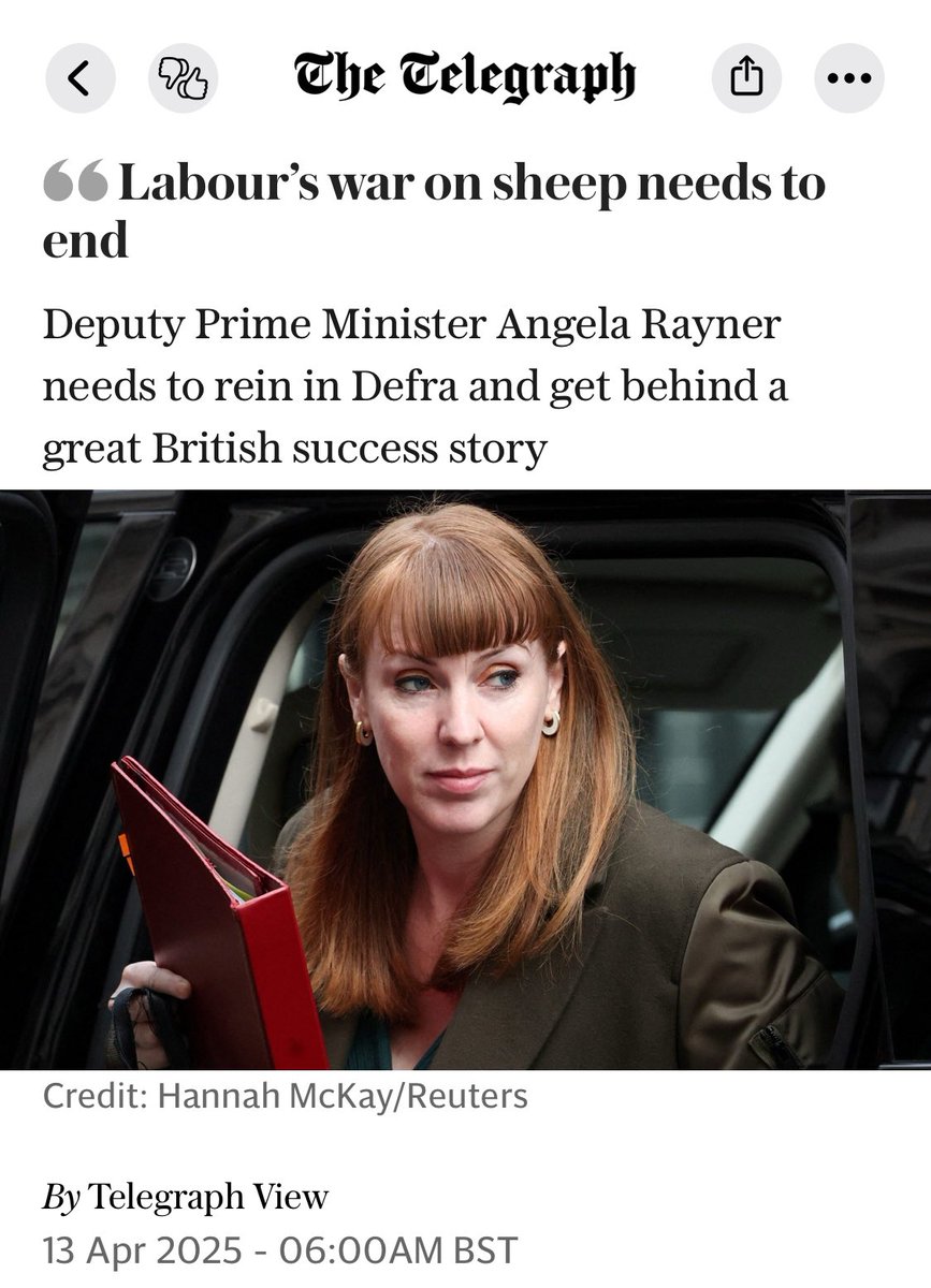 Expected from the telegraph. Sheep are an ecological blight. Full of toxic chemicals, they dislocate soils which choke river-life and remove all bankside vegetation, they shear landscapes bare and destroy most other breeding wildlife from curlews to voles It's change time.