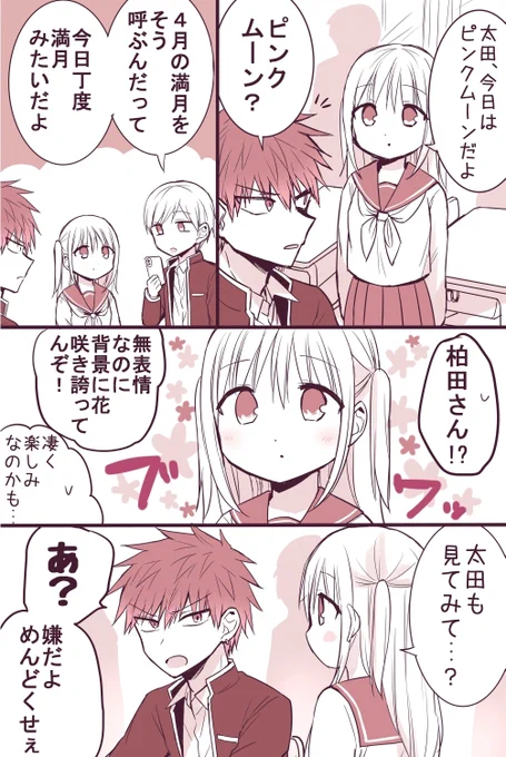 今日はピンクムーン(1/2)
 #柏田さんと太田君 