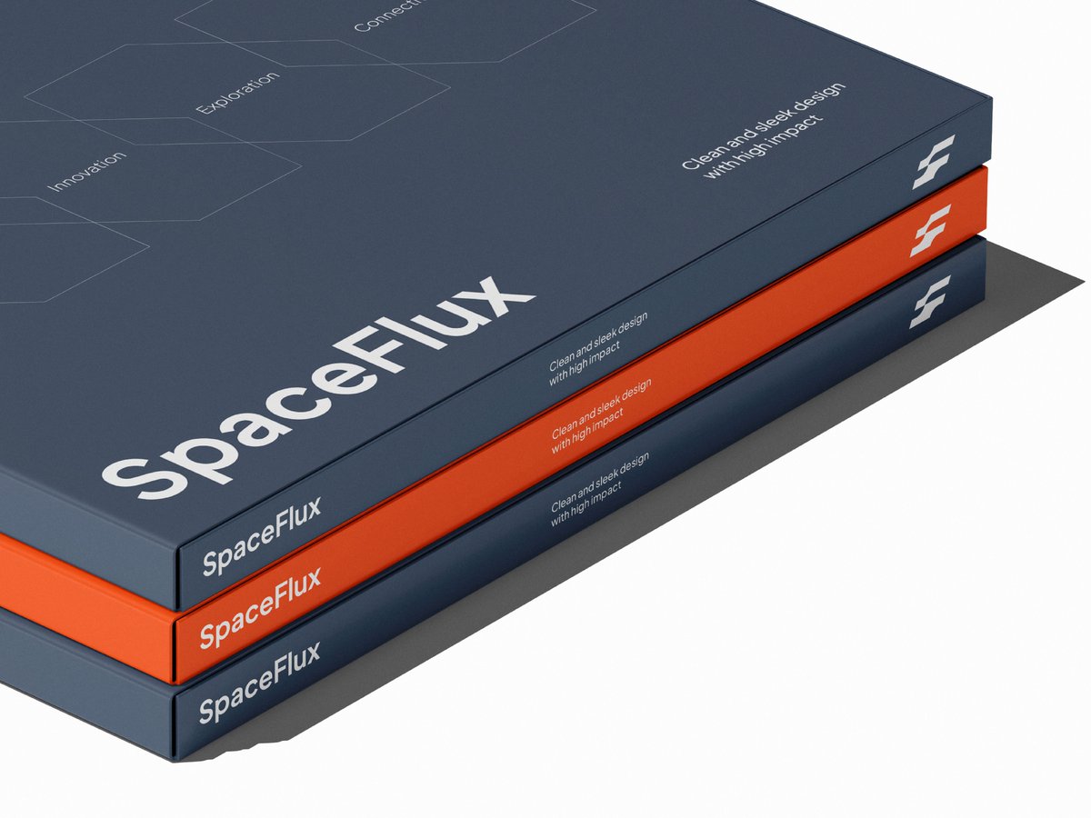 SpaceFlux - Brand Identity Concept