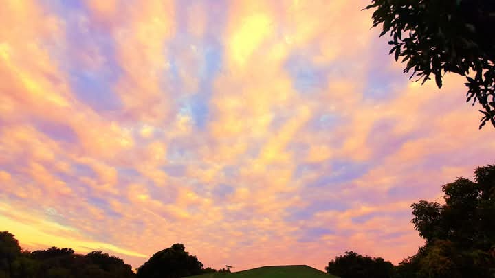 Easter 🫱🏻‍🫲🏽 4/20 💚 Rise and shine! 🌞 

Always meant to be since ancient times 📖🌿✨️

Enjoy this extra blessed and holy day!! 🙌🏽👼