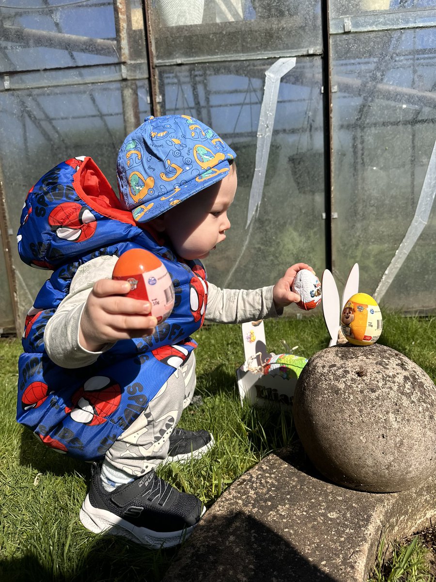 robertad98's tweet photo. 🐰🐣💙 https://t.co/Ox7UjTGbcT