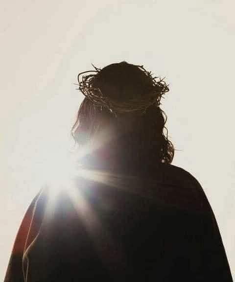 Él está VIVO❤️

“Dentro de poco el mundo no me verá más, pero ustedes sí me verán. Ya que yo vivo, ustedes también vivirán”. 

– Juan 14:19