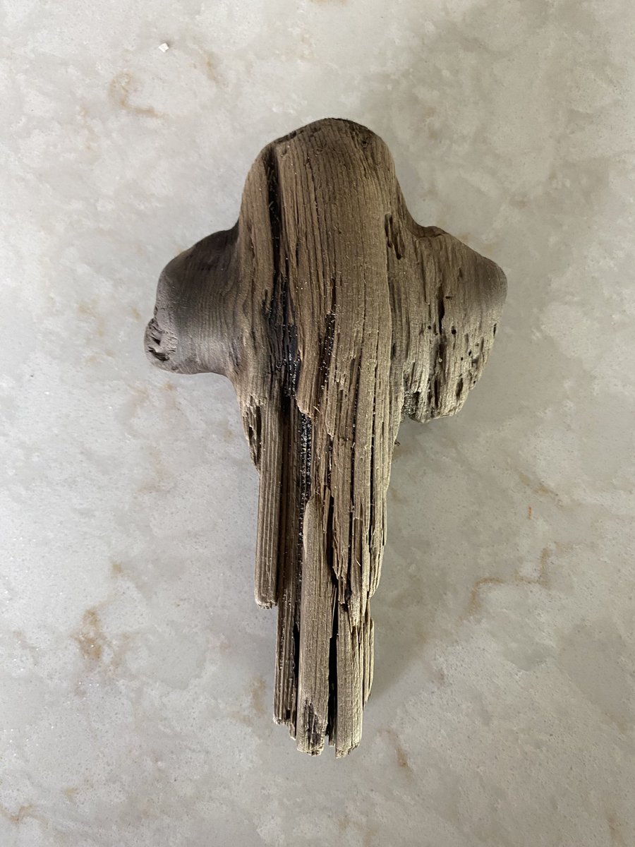 MJColl67's tweet image. Happy Easter to
All. Found this piece of driftwood along Lake Michigan today. How appropriate! @Joeinblack @jmasseypoet @Sachinettiyil