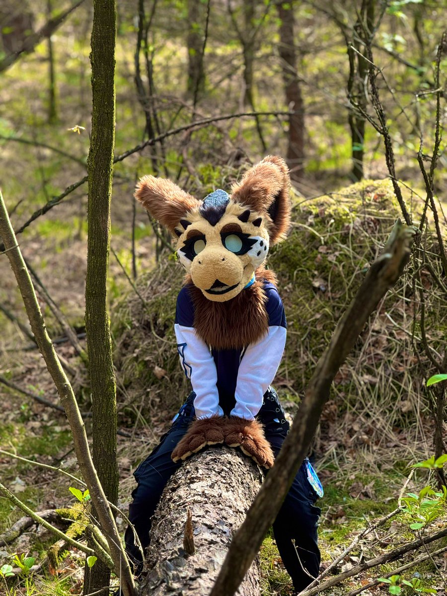 eli_qwq's tweet photo. There’s something in the woods o.o 

📸: @janikuwu 

#furry #furries #fursuit #dutchie #dutchangeldragon https://t.co/gn5dYzKorS