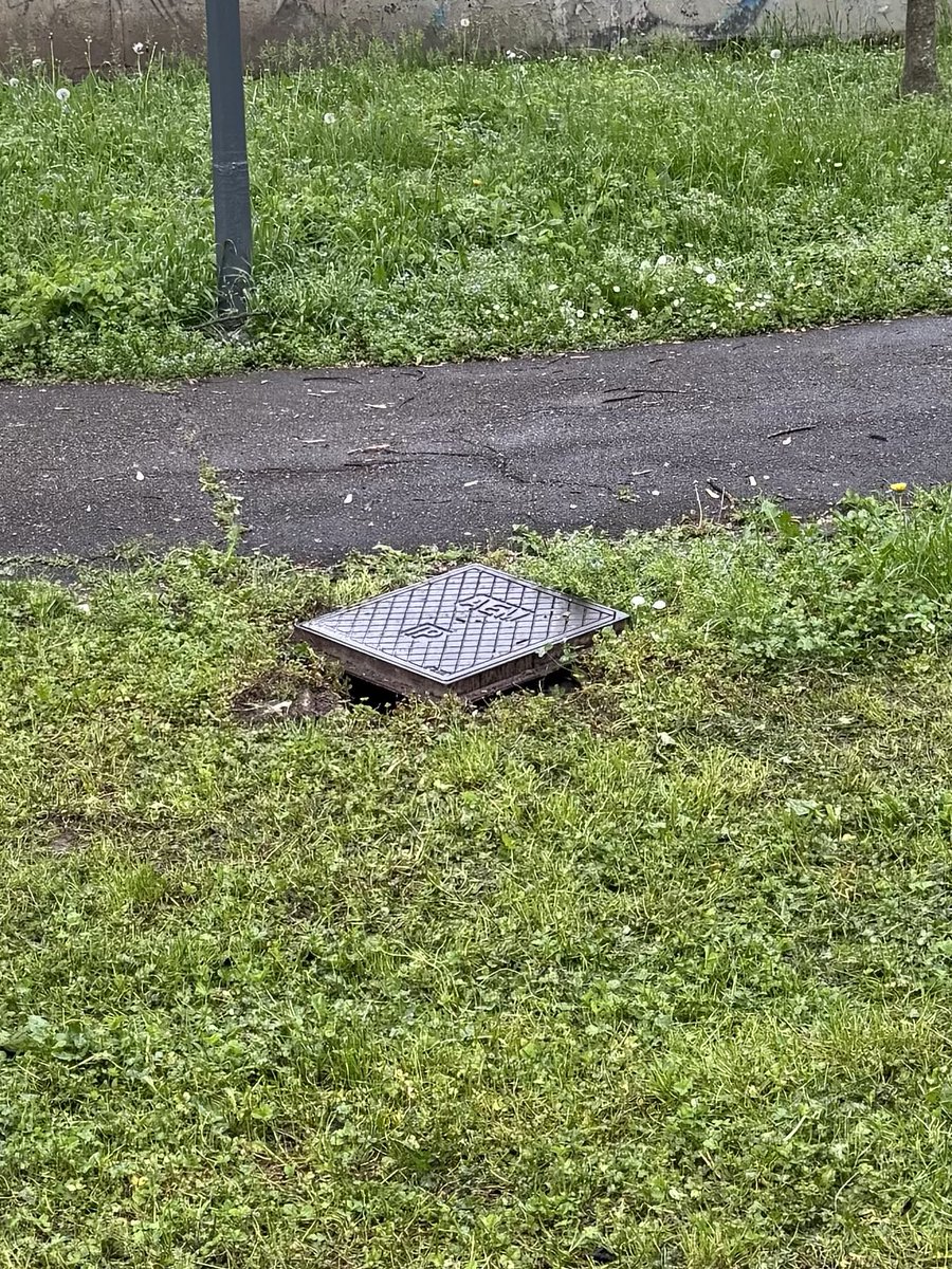 Massimiliano tweet media