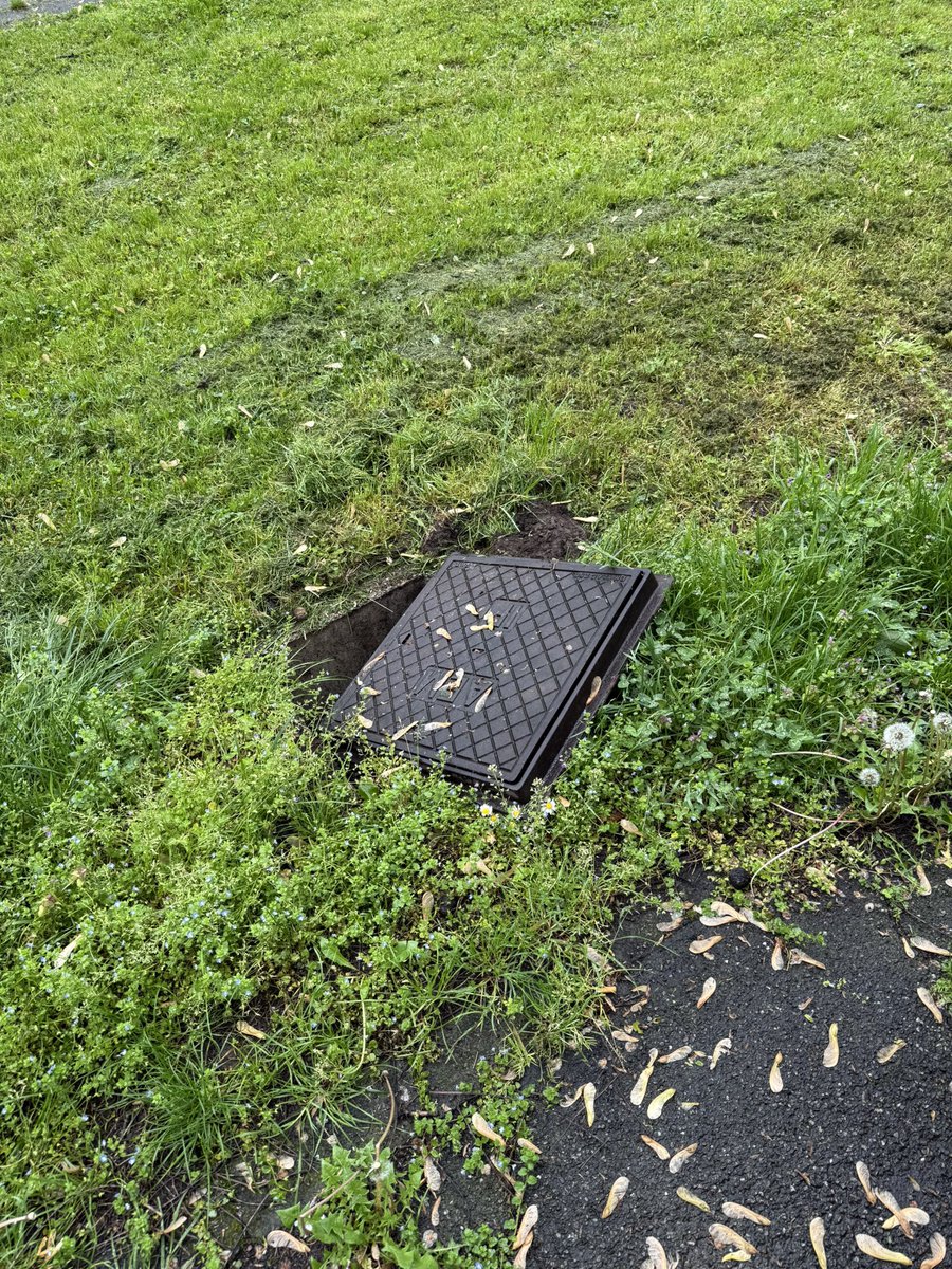 Massimiliano tweet media