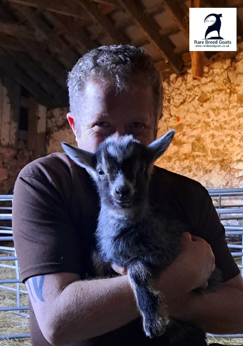 RareBreedGoats's tweet photo. Wishing you all a very peaceful and Happy Easter Sunday #rarebreedgoats #britishprimitivegoats 
#Easter2025 
#tiree https://t.co/mrfJwxMkgn