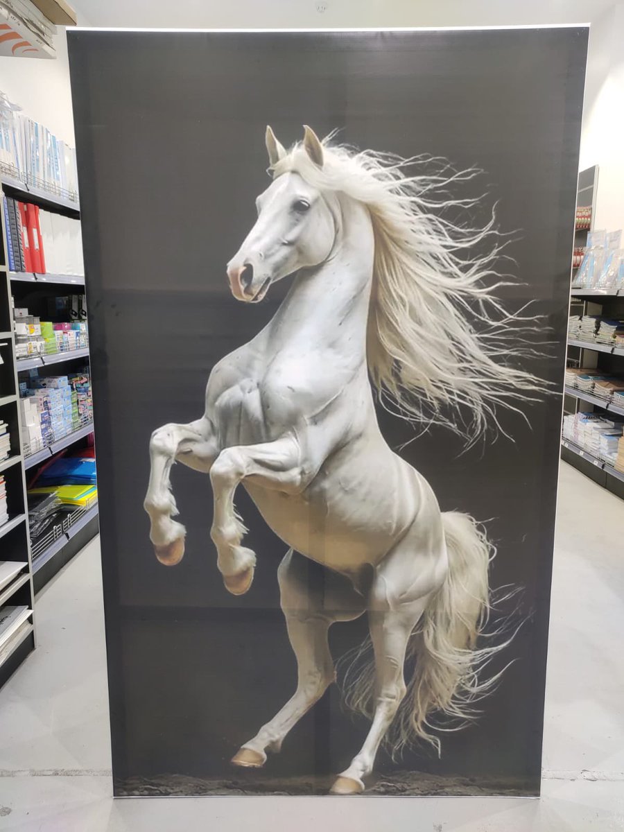 AbcbookStore_'s tweet photo. https://t.co/A6Z4sbZw9y