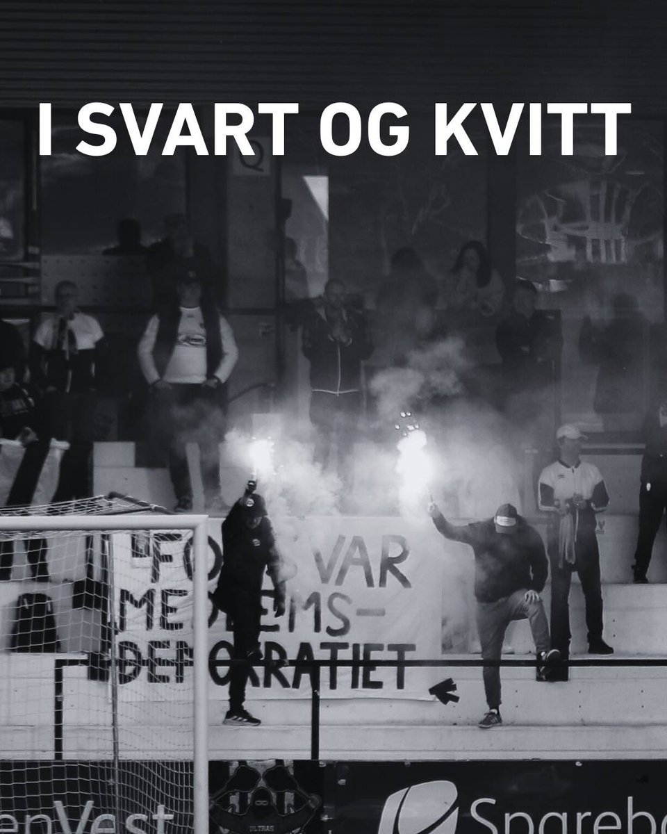 Saftkokaradn tweet media